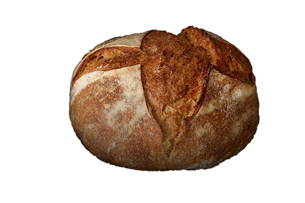 FROMENT COMPLET LEVAIN (Blés Anciens)