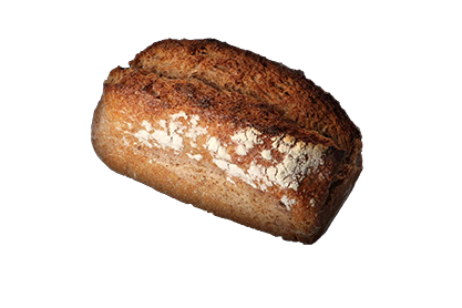 ÉPEAUTRE COMPLET LEVAIN
