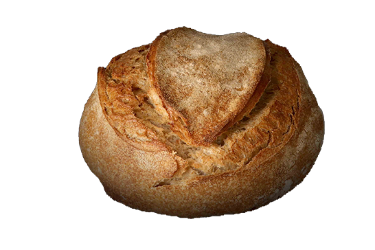 FROMENT DEMI-COMPLET LEVAIN (Blés Anciens)