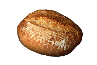 FINE FLEUR d'ÉPEAUTRE