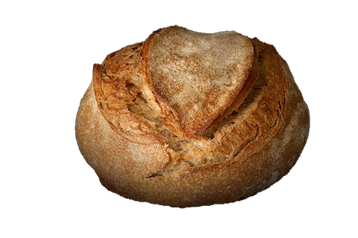 FROMENT DEMI-COMPLET LEVAIN (Blés Anciens)