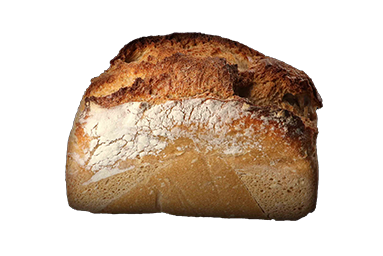FLEUR d'ÉPEAUTRE LEVAIN EP